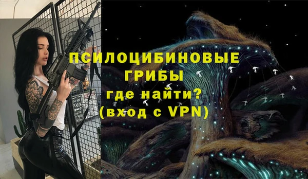прущая мука Армянск