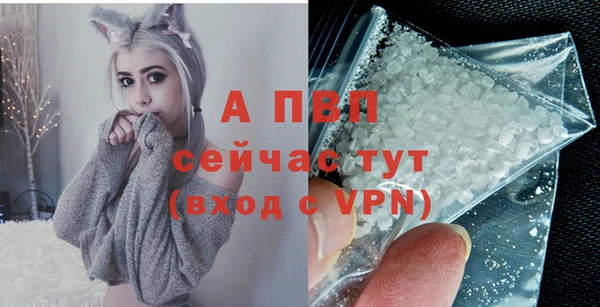 гашик Арсеньев