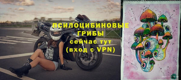 прущая мука Армянск