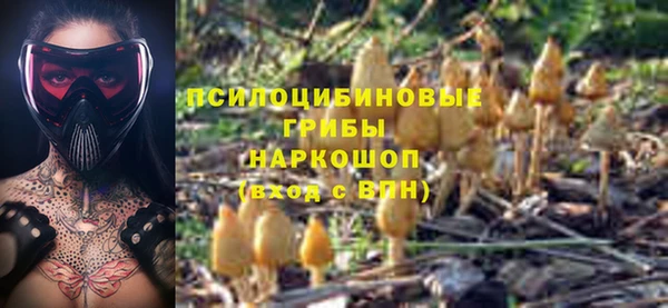 прущая мука Армянск