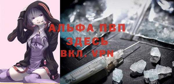 гашик Арсеньев