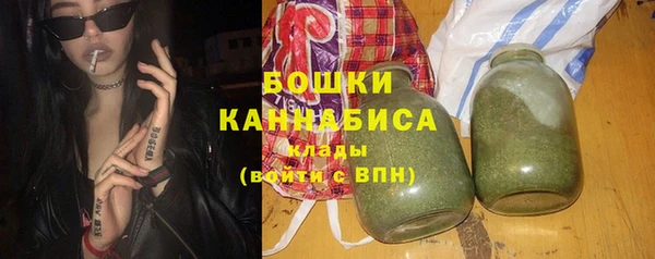 гашик Арсеньев