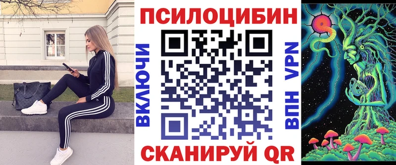Галлюциногенные грибы Psilocybe  сайты даркнета наркотические препараты  Свирск  как найти  